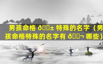 男孩命格 🐱 特殊的名字（男孩命格特殊的名字有 🐬 哪些）